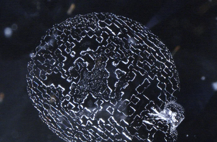 Fingerprint pattern